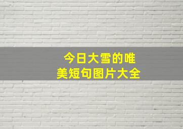 今日大雪的唯美短句图片大全