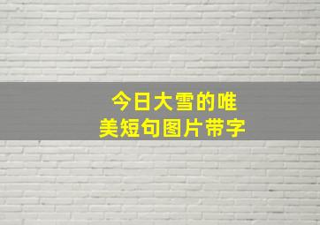 今日大雪的唯美短句图片带字