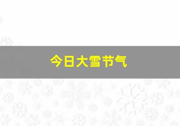 今日大雪节气