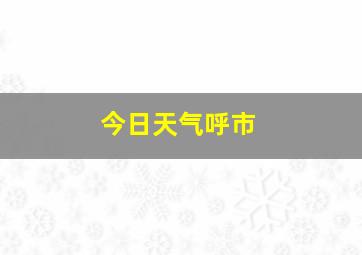 今日天气呼市