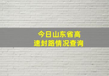 今日山东省高速封路情况查询