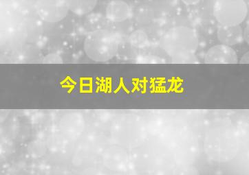 今日湖人对猛龙