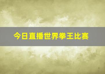 今日直播世界拳王比赛