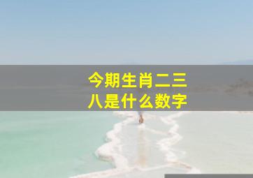 今期生肖二三八是什么数字