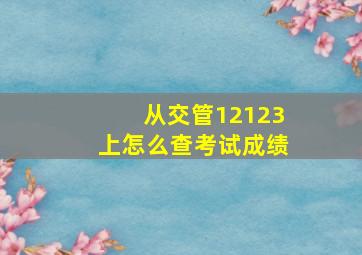 从交管12123上怎么查考试成绩