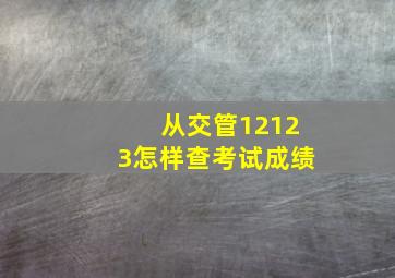 从交管12123怎样查考试成绩