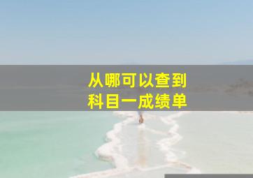 从哪可以查到科目一成绩单