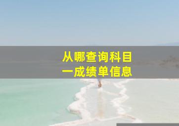 从哪查询科目一成绩单信息