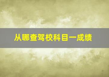 从哪查驾校科目一成绩