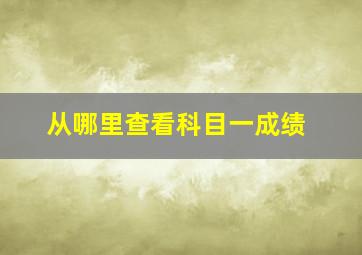 从哪里查看科目一成绩