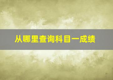 从哪里查询科目一成绩