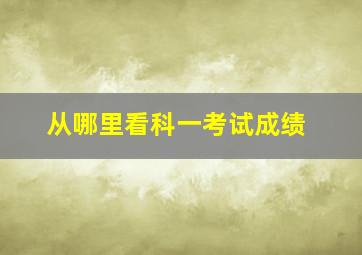 从哪里看科一考试成绩