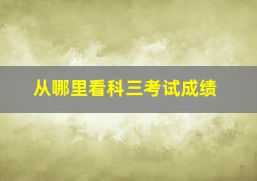 从哪里看科三考试成绩