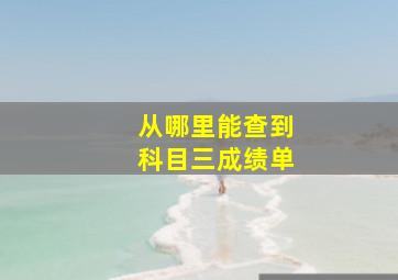 从哪里能查到科目三成绩单