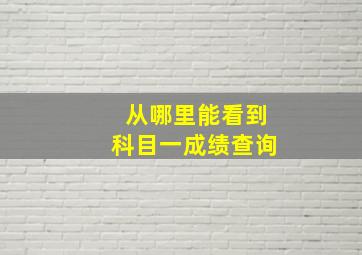 从哪里能看到科目一成绩查询