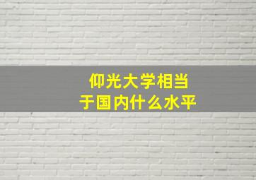 仰光大学相当于国内什么水平