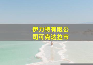 伊力特有限公司可克达拉市