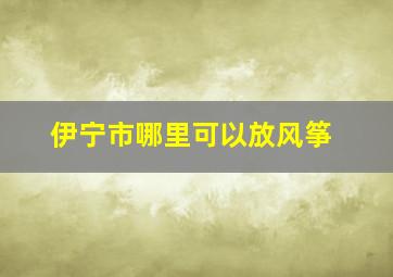 伊宁市哪里可以放风筝