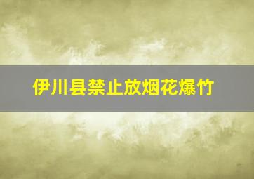 伊川县禁止放烟花爆竹