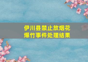 伊川县禁止放烟花爆竹事件处理结果