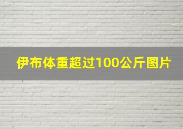 伊布体重超过100公斤图片