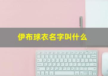 伊布球衣名字叫什么