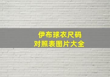 伊布球衣尺码对照表图片大全