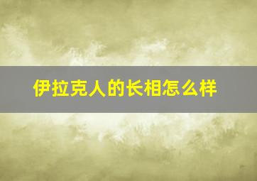 伊拉克人的长相怎么样