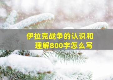 伊拉克战争的认识和理解800字怎么写