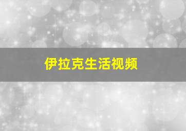 伊拉克生活视频