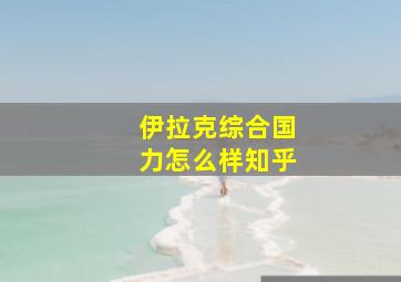 伊拉克综合国力怎么样知乎