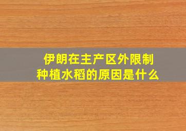 伊朗在主产区外限制种植水稻的原因是什么