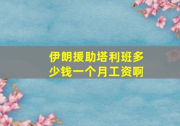 伊朗援助塔利班多少钱一个月工资啊