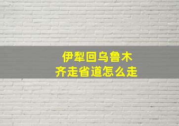 伊犁回乌鲁木齐走省道怎么走