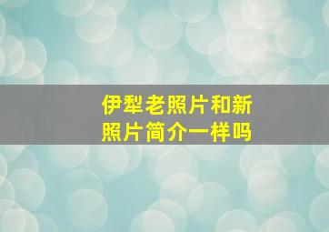 伊犁老照片和新照片简介一样吗