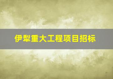 伊犁重大工程项目招标