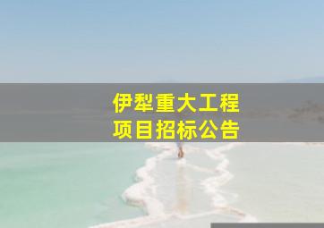 伊犁重大工程项目招标公告