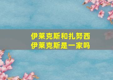 伊莱克斯和扎努西伊莱克斯是一家吗