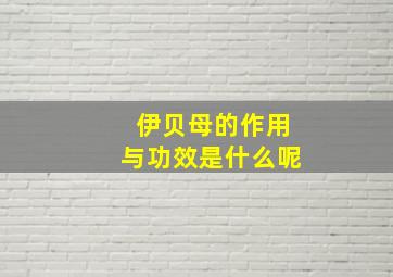 伊贝母的作用与功效是什么呢