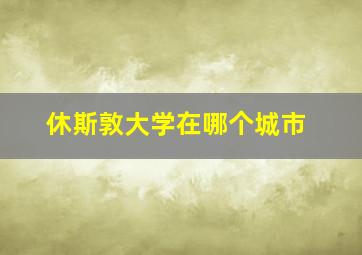 休斯敦大学在哪个城市