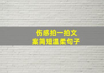 伤感拍一拍文案简短温柔句子