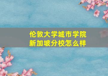 伦敦大学城市学院新加坡分校怎么样