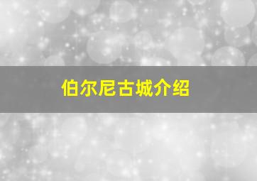 伯尔尼古城介绍