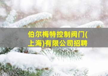 伯尔梅特控制阀门(上海)有限公司招聘