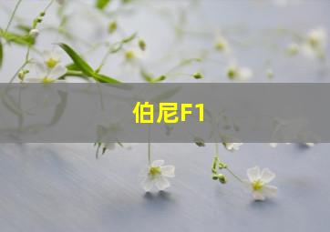 伯尼F1