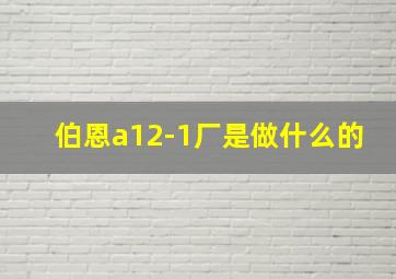 伯恩a12-1厂是做什么的