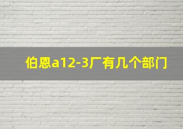 伯恩a12-3厂有几个部门