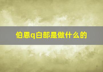 伯恩q白部是做什么的