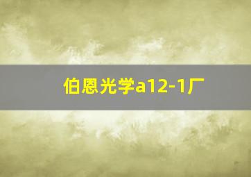 伯恩光学a12-1厂