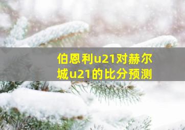 伯恩利u21对赫尔城u21的比分预测